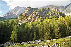 daichstein-2005-dp43.jpg