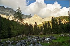 daichstein-2005-dp44.jpg