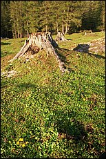 daichstein-2005-dp46.jpg