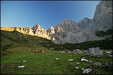 daichstein-2005-dp48.jpg