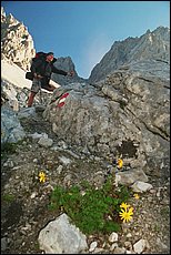 daichstein-2005-dp49.jpg
