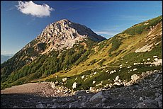 daichstein-2005-dp50.jpg