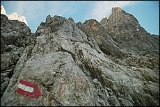 daichstein-2005-dp56.jpg