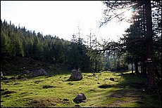 daichstein-2005-pk105.JPG