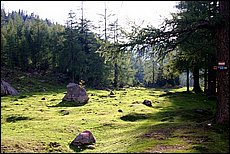 daichstein-2005-pk106.JPG