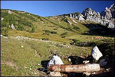 daichstein-2005-pk113.JPG