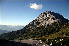 daichstein-2005-pk116.JPG