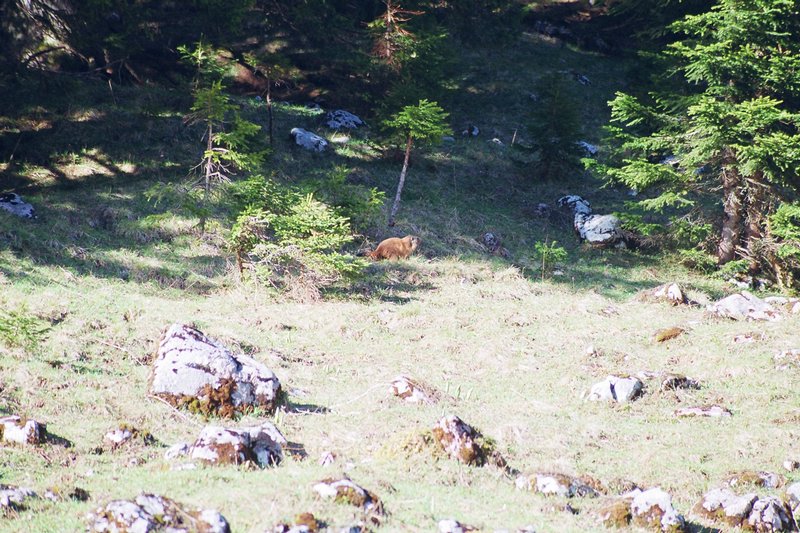 konig-see-dp068.JPG