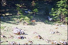 konig-see-dp068.JPG