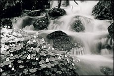 konig-see-dp093.JPG