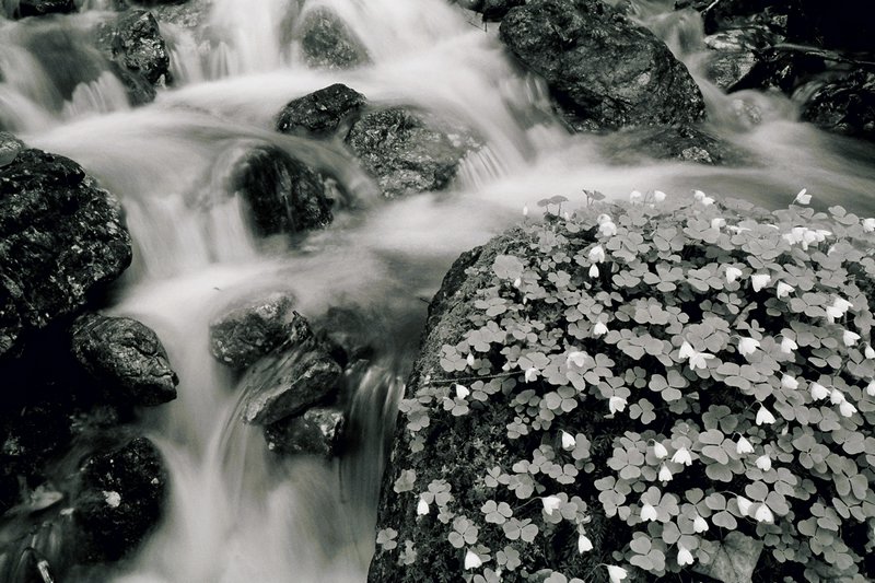 konig-see-dp094.jpg
