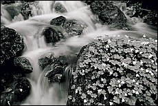 konig-see-dp094.jpg