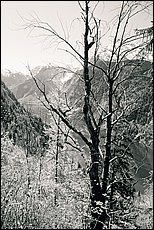 konig-see-dp095.JPG