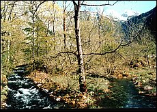 jezero042_p.jpg