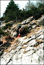 jezero085_p.jpg