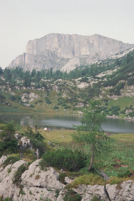 tg2000-dp14.jpg