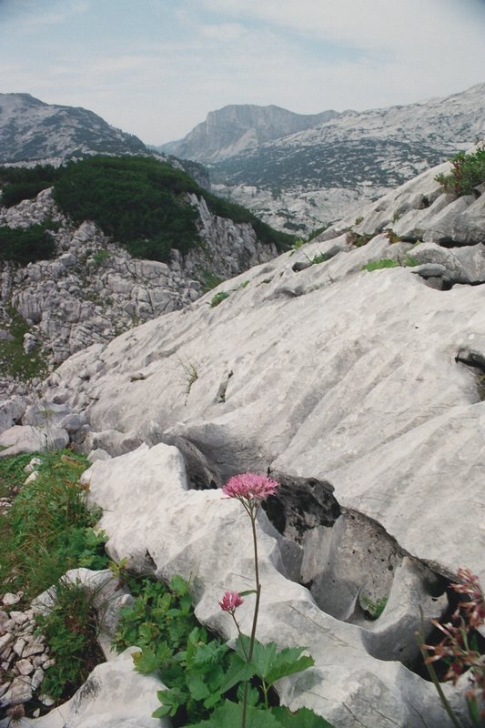 tg2000-dp17.jpg