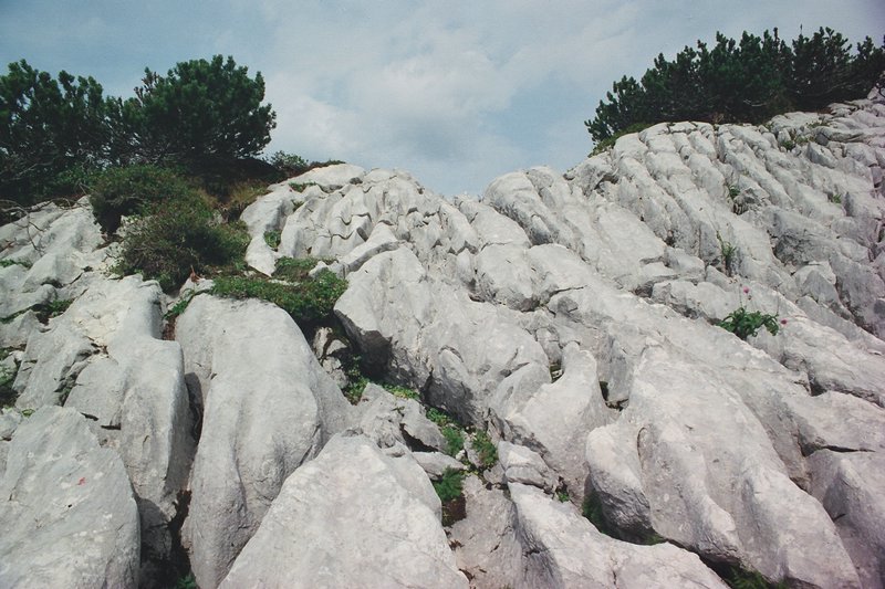 tg2000-dp20.jpg