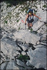 tg2000-dp22.jpg