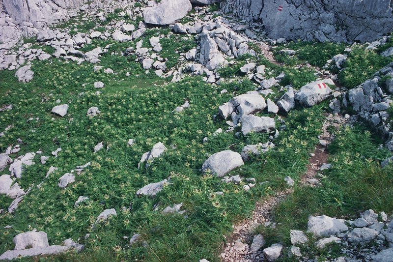 tg2000-dp28.jpg