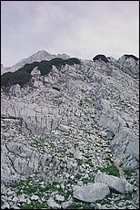 tg2000-dp29.jpg