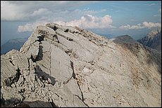 tg2003-dp-040.JPG