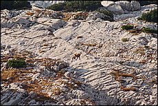 tg2003-dp-059.JPG