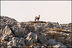 tg2003-dp-060.JPG