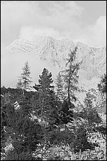 tg2003-dp-064.JPG