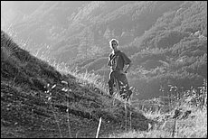 tg2003-dp-065.JPG