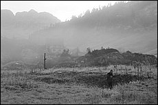 tg2003-dp-069.JPG