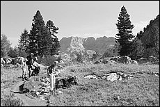 tg2003-dp-077.JPG