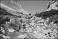 tg2003-dp-079.JPG