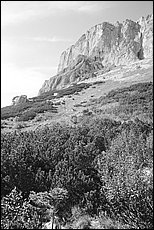 tg2003-dp-080.JPG