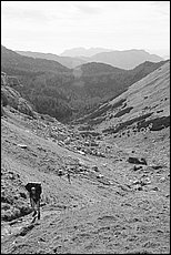 tg2003-dp-081.JPG