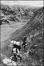 tg2003-dp-085.JPG