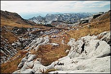 tg2003-dp-097.JPG