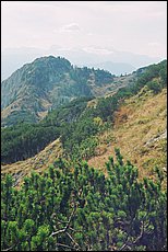 tg2003-dp-100.JPG