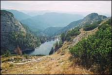tg2003-dp-102.JPG