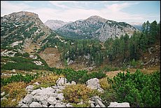 tg2003-dp-105.JPG