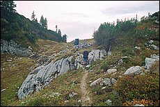 tg2003-dp-106.JPG