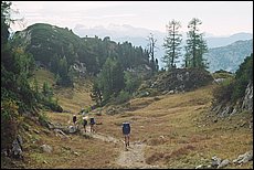 tg2003-dp-107.JPG