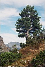tg2003-dp-108.JPG
