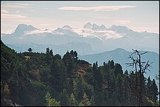 tg2003-dp-109.JPG