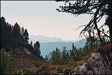 tg2003-dp-111.JPG