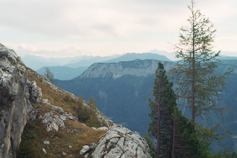 tg2003-dp-113.JPG