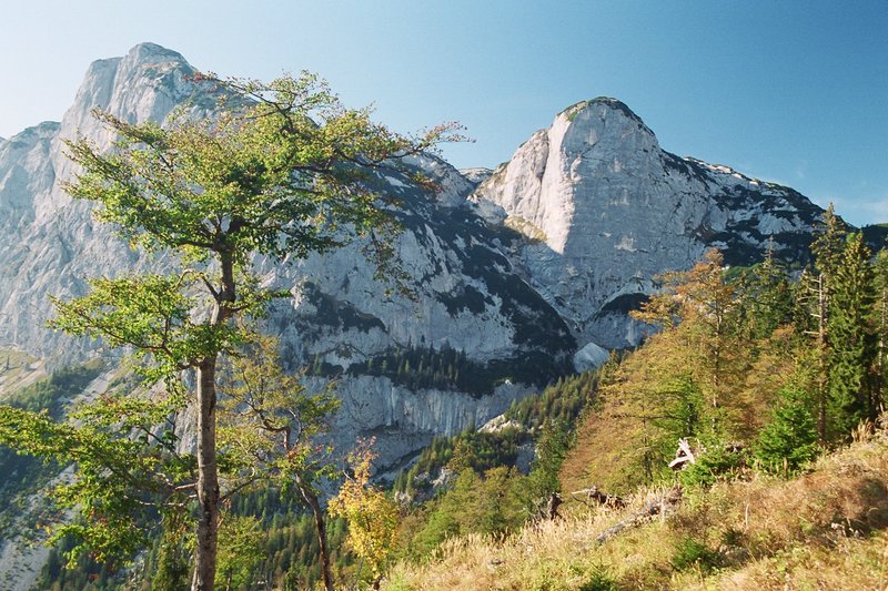 tg2003-dp-117.JPG