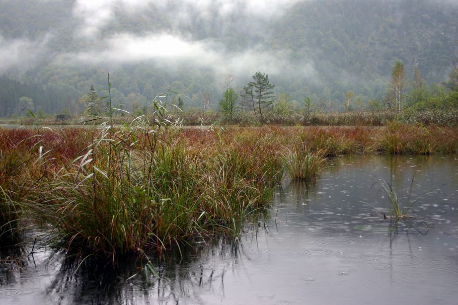 alpy2004_21.jpg