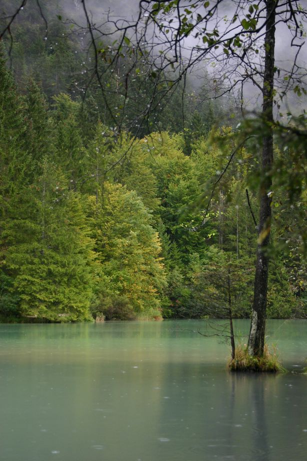 alpy2004_23.jpg