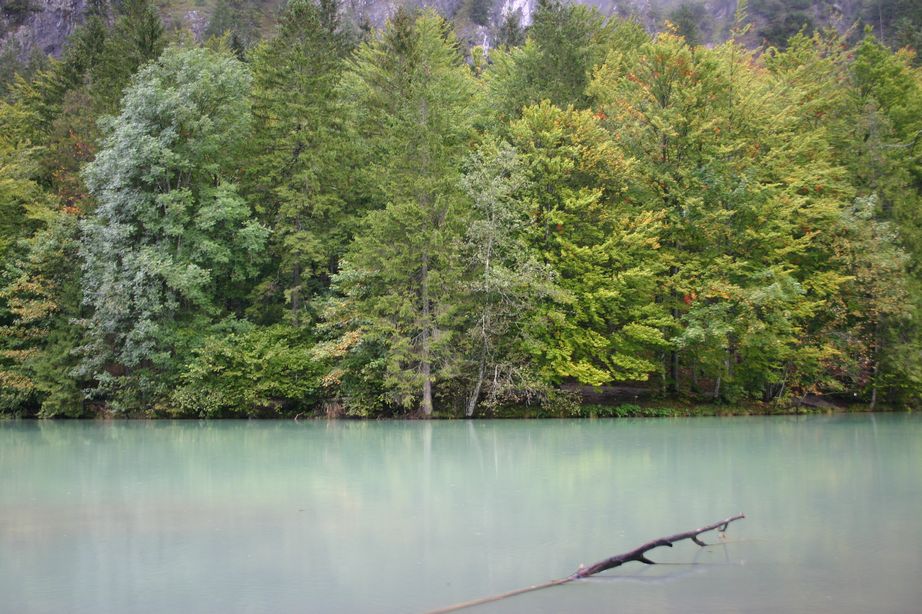 alpy2004_24.jpg